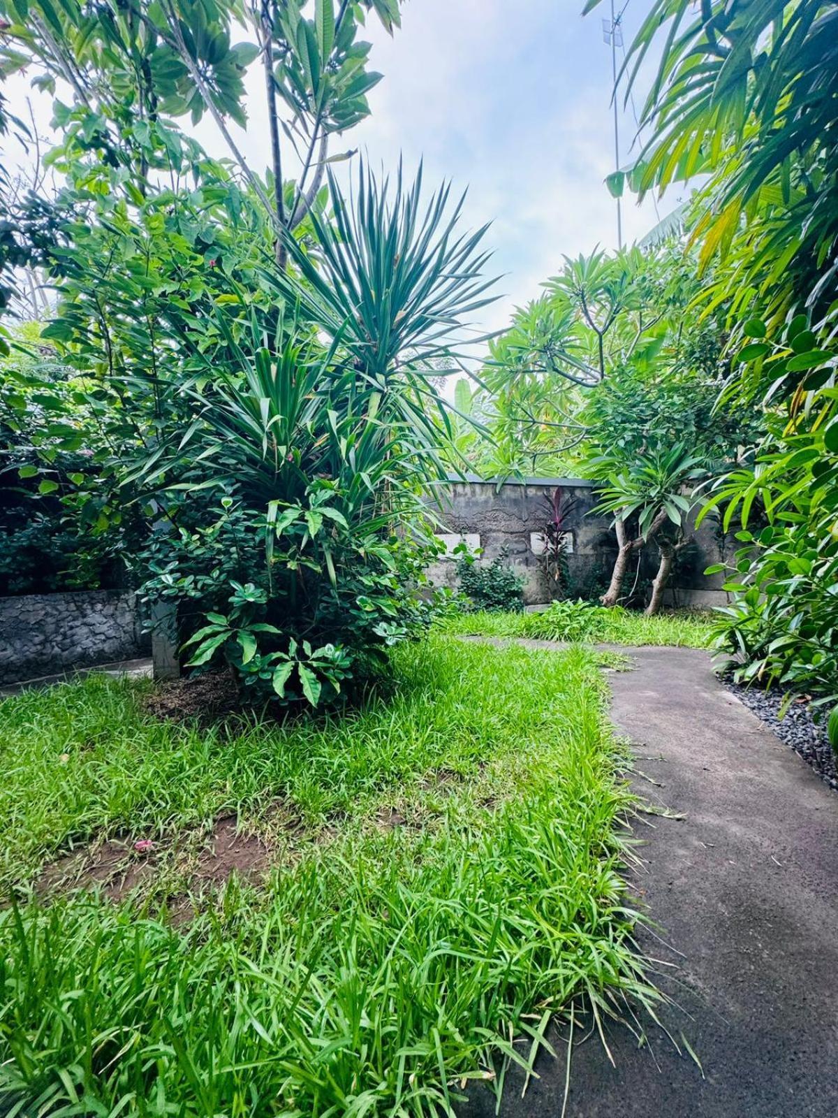 Putu Guest House Pemuteran Ngoại thất bức ảnh