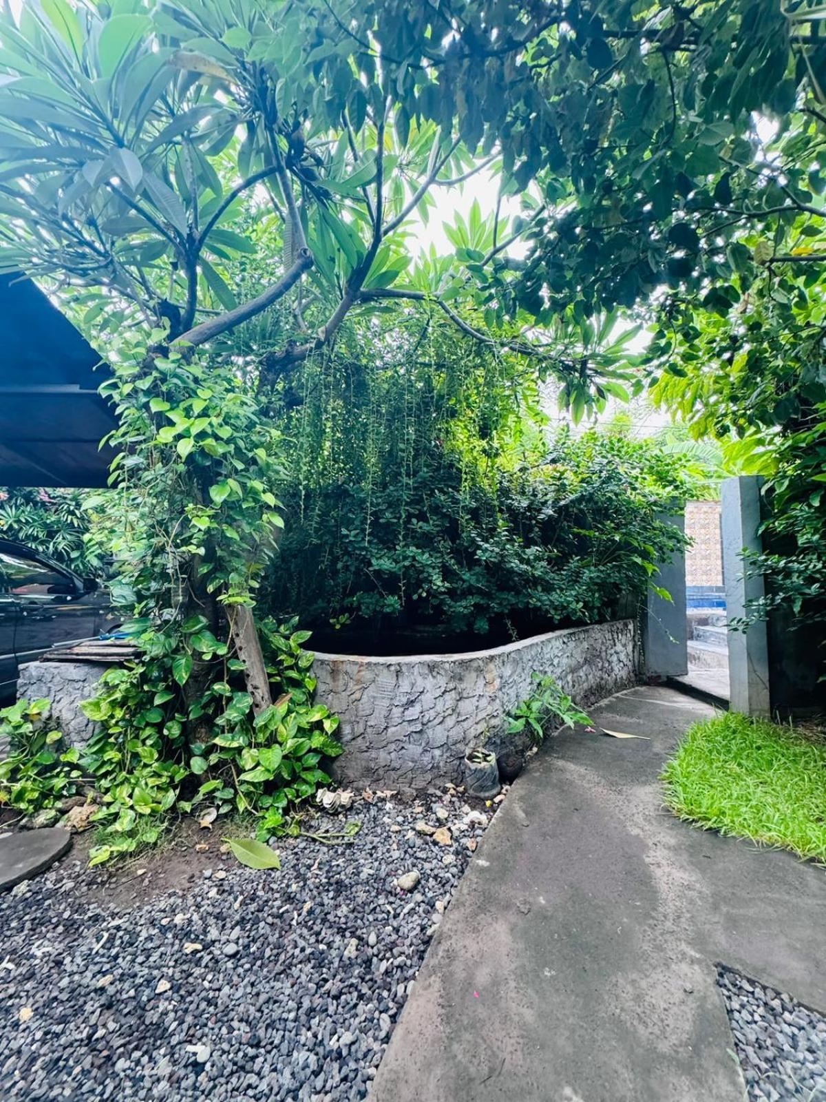 Putu Guest House Pemuteran Ngoại thất bức ảnh